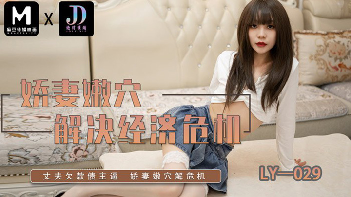 娇妻嫩穴解决经济危机LY-029